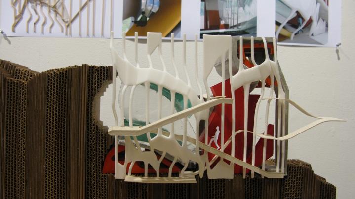 CED Project Image